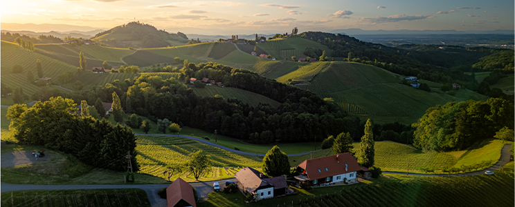 Weingut Stefan Potzinger 