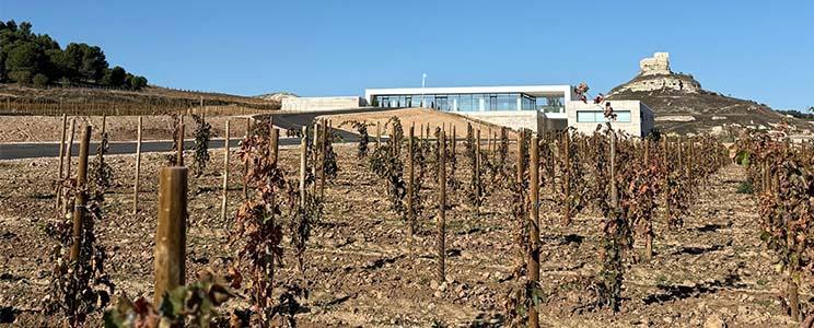 Casa Rojo Bodegas y Viñedos 