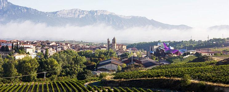 Bodegas Marqués de Riscal 