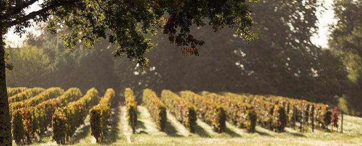 Château de La Commanderie 