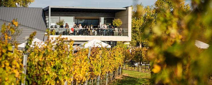 Weingut Esterhazy