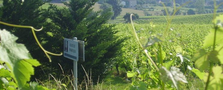 Château Maresque 