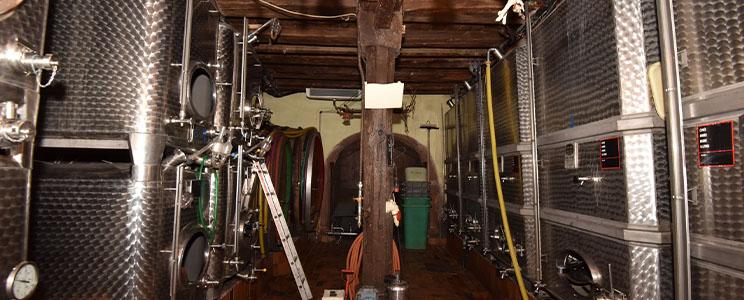 Clément et Matthieu Weck 