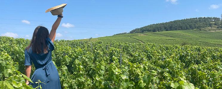 Champagne Simon Devaux 