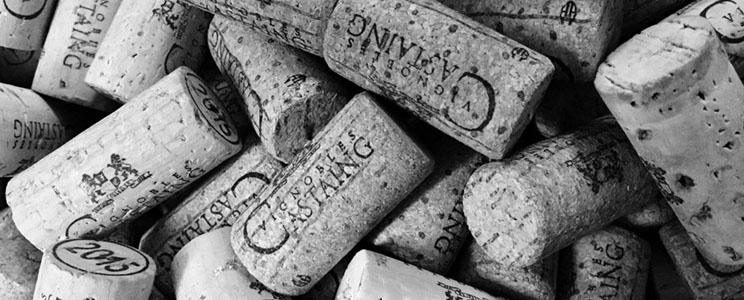 Vignobles Fabien Castaing 