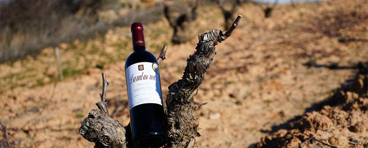 Bodegas Lambuena 