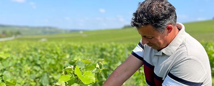 Champagne Simon Devaux 