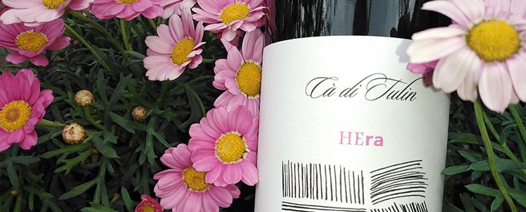 Azienda Agricola Cà di Tulin 