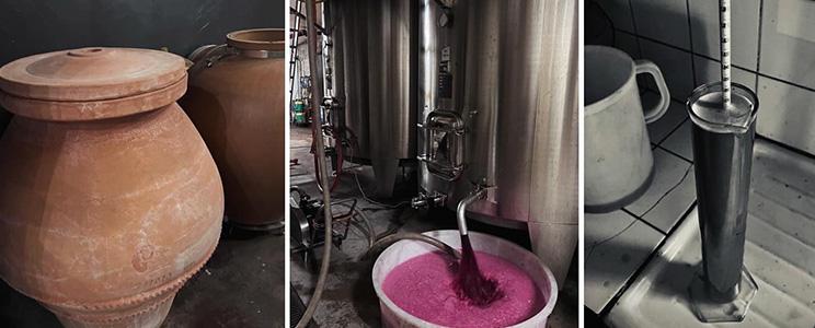 Vignobles Fabien Castaing 