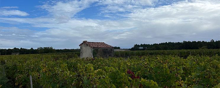 Château la Fon du Berger 