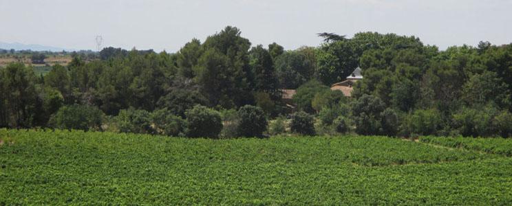 Massamier la Mignarde 