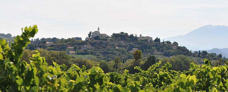 Domaine Clos Romane 