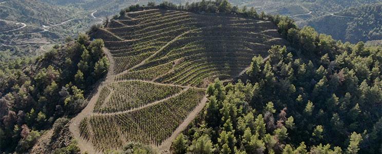 Adrets del Priorat 