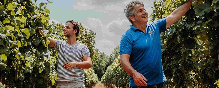 Weingut Schloss Reinhartshausen 