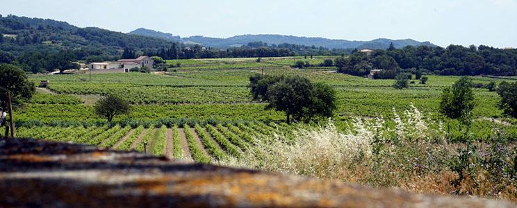 Domaine de la Tête Noire 