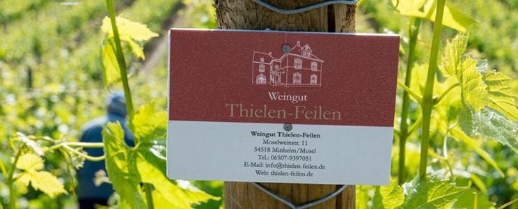 Weingut Thielen-Feilen 