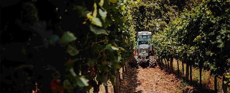 Weingut Schloss Reinhartshausen 