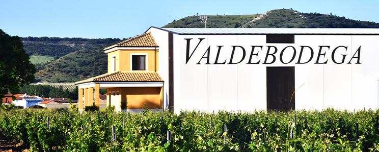 Bodegas y Viñedos Valdebodega 