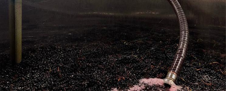 Virgile Ligner-Michelot 