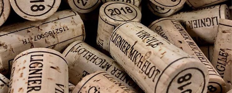 Virgile Ligner-Michelot 