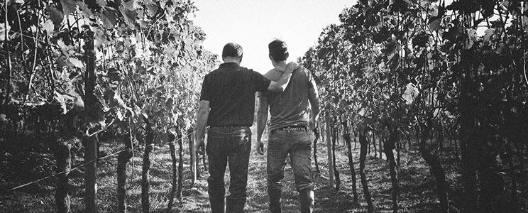 Weingut Karlheinz & Dominik Becker: Qualitätswein