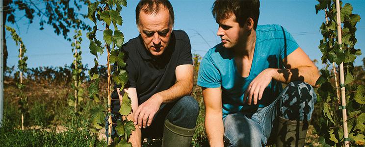 Weingut Karlheinz & Dominik Becker: Qualitätswein