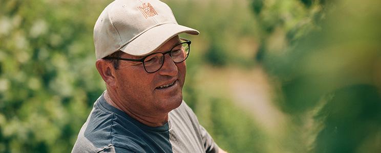 Weingut Wachtstetter 