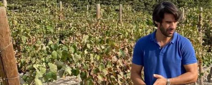 The Wine Hunter Company 