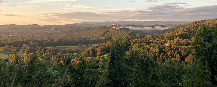 Hirschmugl - Domaene am Seggauberg 