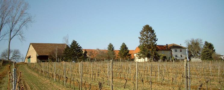 Weingut Neuhof 