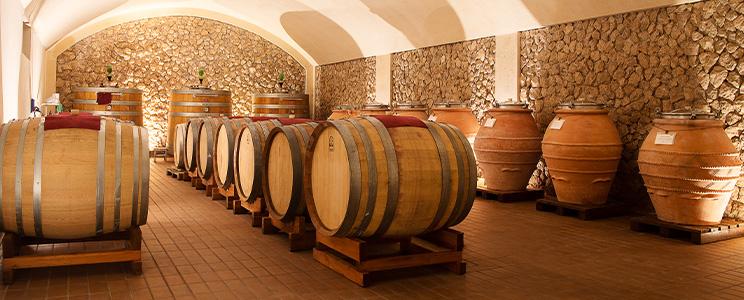 Michele Biancardi - Cantine e Vigne Daune 