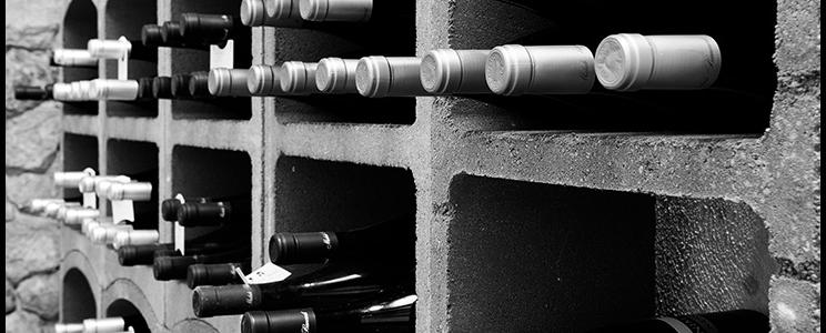 Michele Biancardi - Cantine e Vigne Daune 