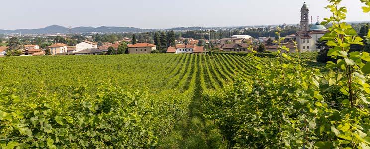 Cantina Sociale Bergamasca 