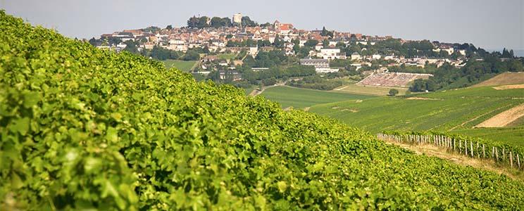 Domaine Bailly-Reverdy 
