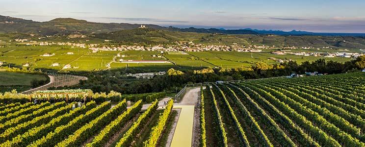 Pasqua Vigneti e Cantine 