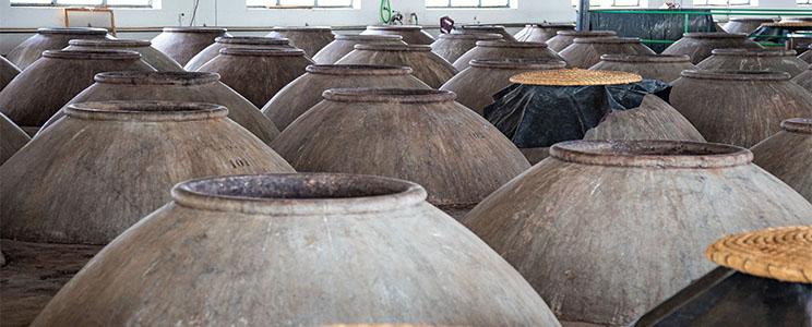 Vinícola de Valdepeñas 