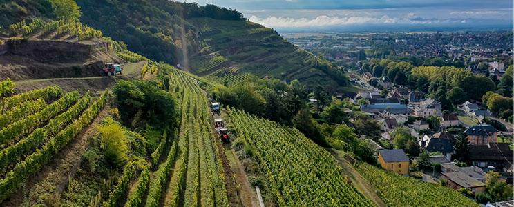 Domaines Schlumberger 