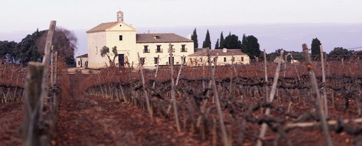 Marqués de Griñón Family Estates 