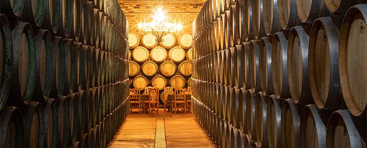 Vinícola de Valdepeñas 