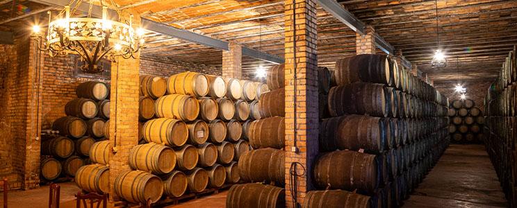 Vinícola de Valdepeñas 