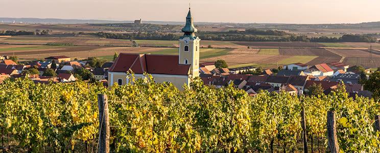 Weinbau Birsak: Weißwein