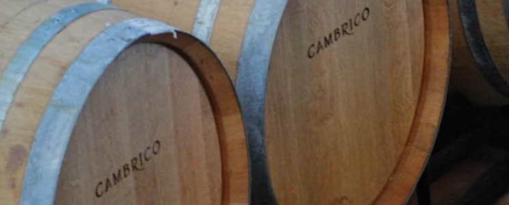 Viñas del Cambrico 