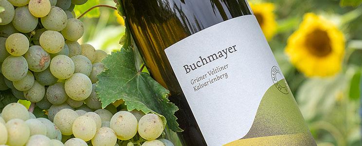 Weingut Buchmayer: 2019