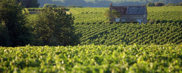 Domaine de la Croix Mélier 