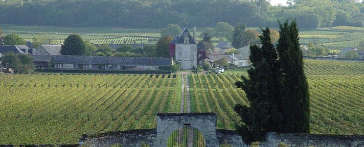 Château de Chaintres 