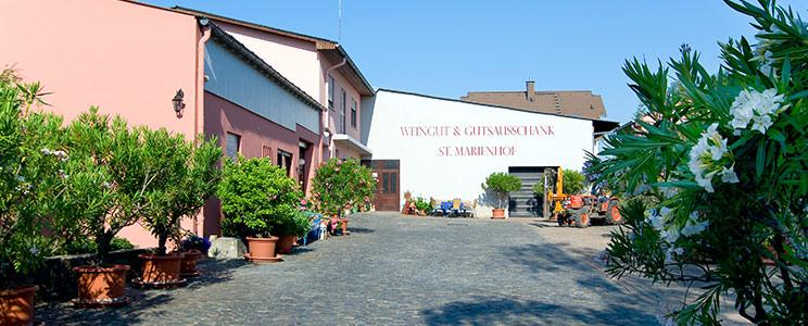  Weingut Dengler St. Marienhof 