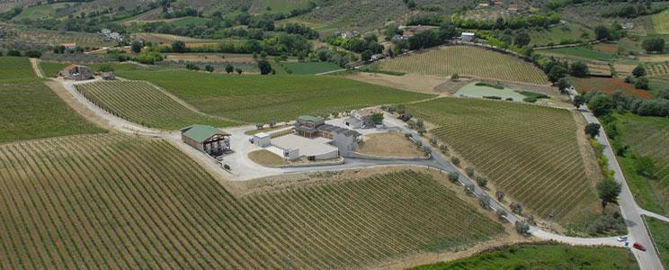 Azienda Agricola Contesa 