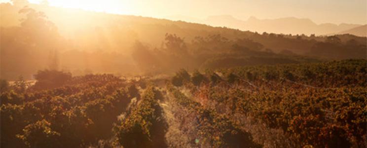 Bodegas Marqués de Riscal 