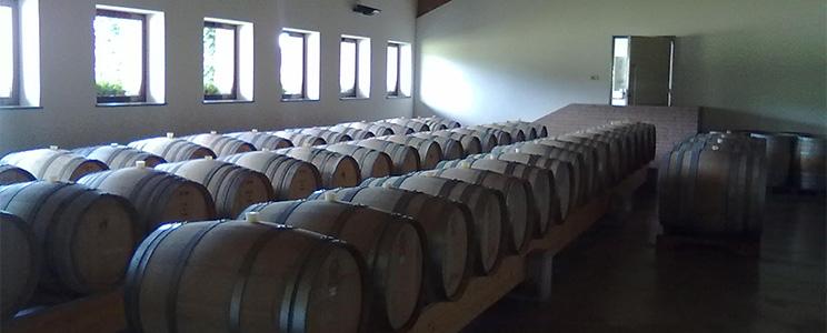 Giovanni Dri - Il Roncat 