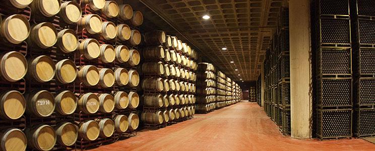 Casa Vinicola Luigi Cecchi e Figli 